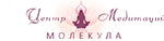 Сайт для Центра медитации "Молекула" Логотип